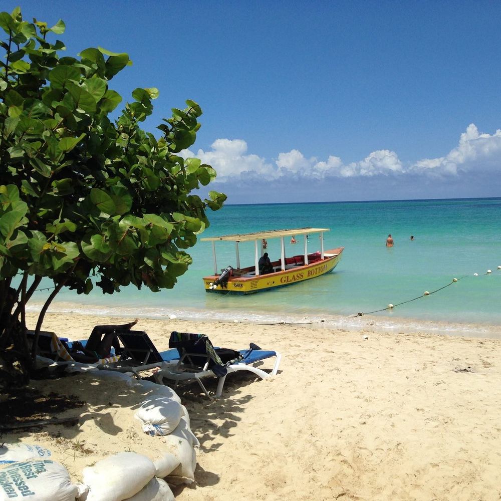 Meet your Posher, Robin